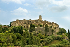 Monaco (Monte Carlo) St. Paul de Vence cruise excursion